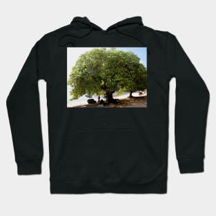 Beach Tree Hoodie